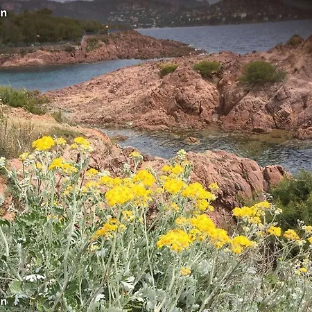 Meuble Frejus, Var, Cote D Azur Apartamento